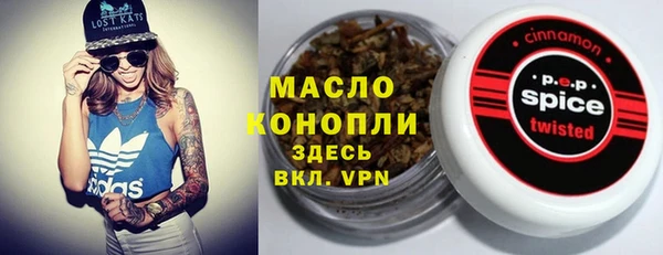 гашик Алексеевка