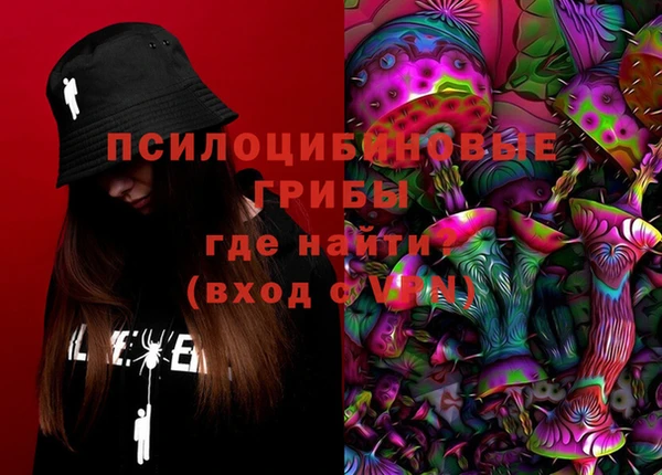 гашик Алексеевка