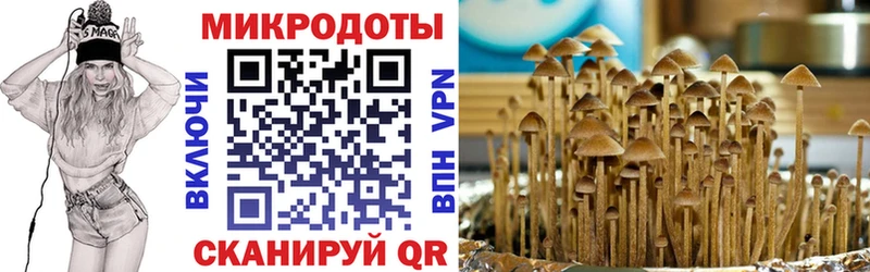 даркнет сайт  Лодейное Поле  blacksprut ONION  Псилоцибиновые грибы мухоморы 