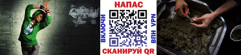 Каннабис Amnesia  Лодейное Поле 